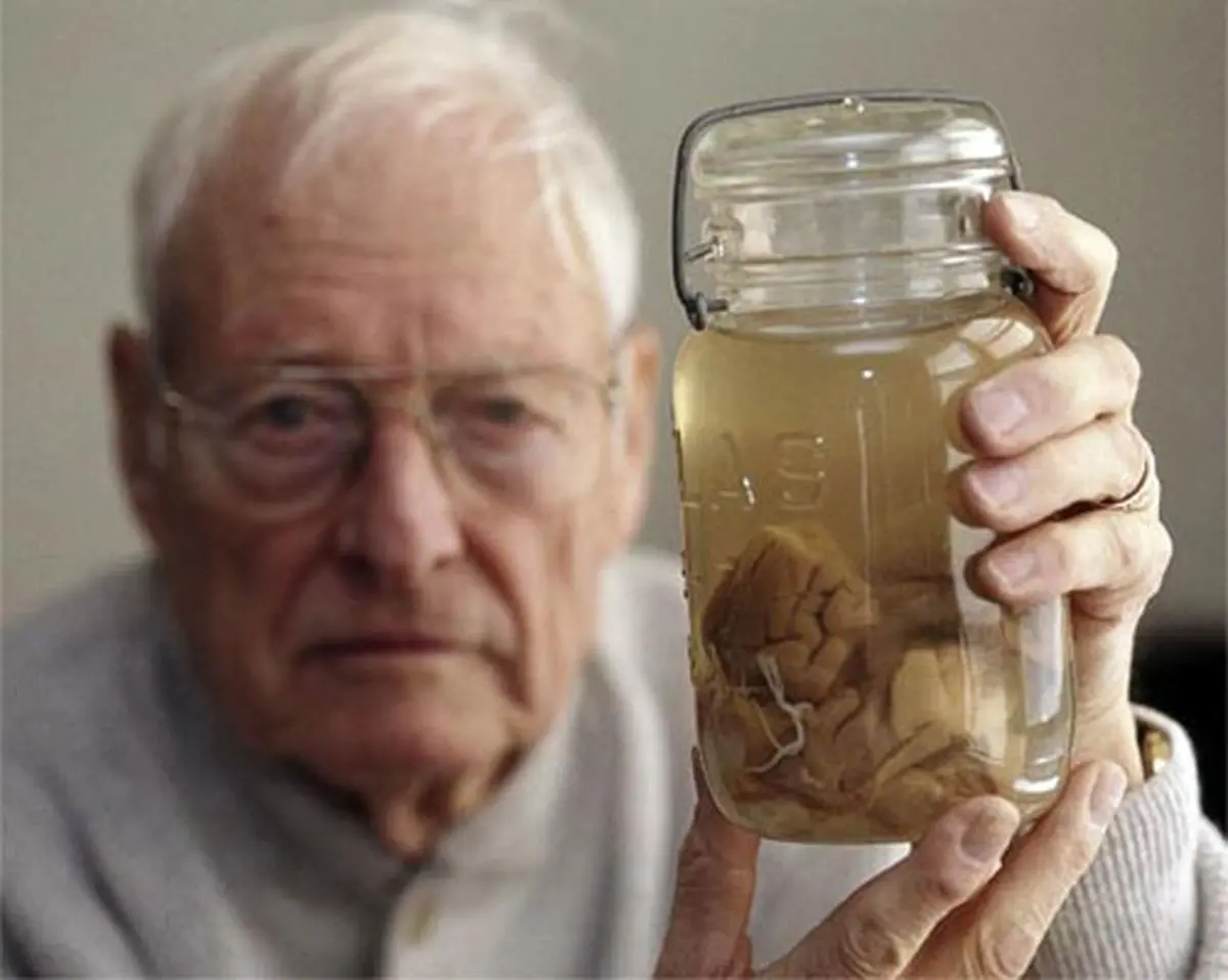 مغز خود را بهتر بشناسید