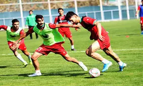 شکاری به تبریز برمی‌گردد