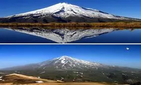 یک خطای تکراری؛ نماد ملی نیوزلند در انتخابات ایران!