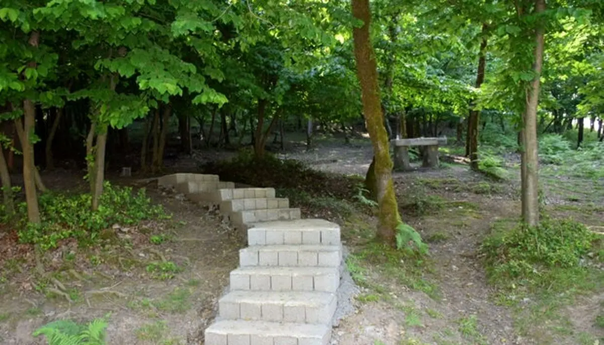 ایجاد پارک جنگلی ۲۳۰ هکتاری با کاشت درختان شناسنامه‌دار در همدان