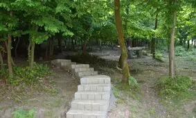 ایجاد پارک جنگلی ۲۳۰ هکتاری با کاشت درختان شناسنامه‌دار در همدان