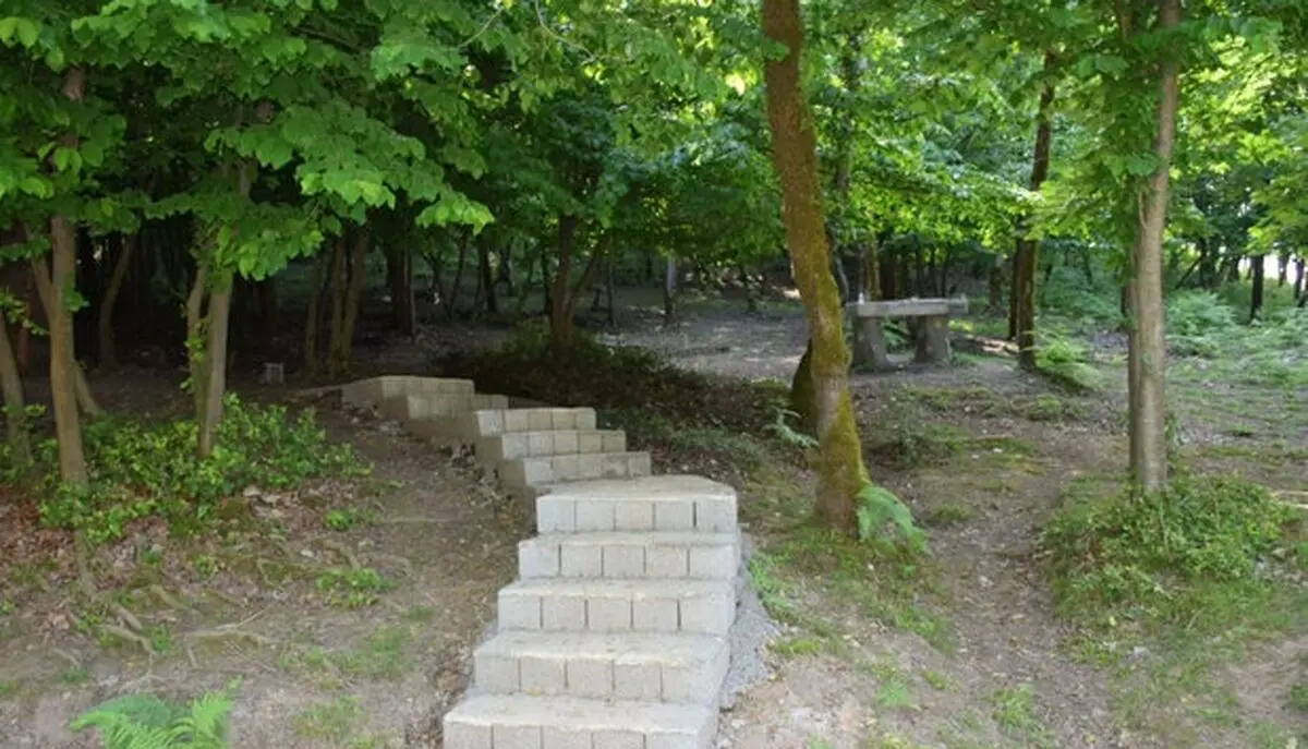 ایجاد پارک جنگلی ۲۳۰ هکتاری با کاشت درختان شناسنامه‌دار در همدان