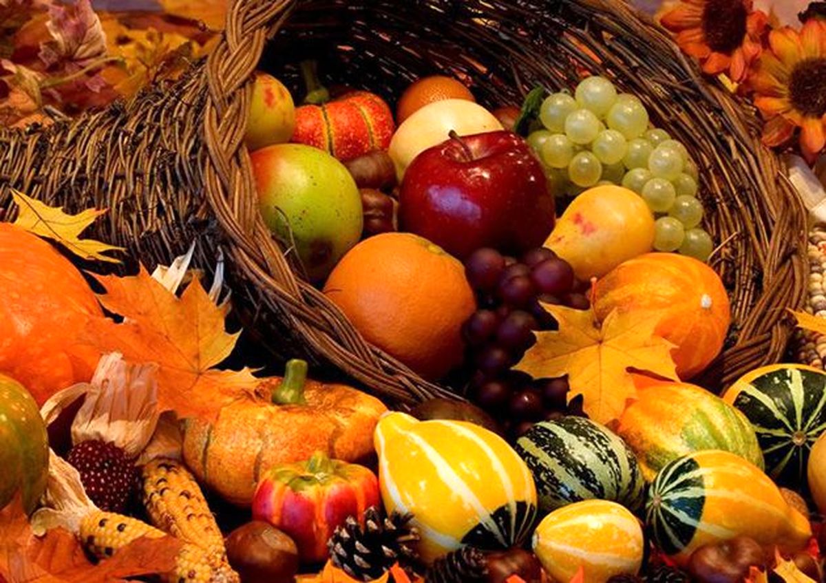 معرفی بهترین غذاها و نوشیدنی‌های مناسب فصل پاییز