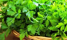 فواید بی‌نظیر مصرف جعفری که شما را غافلگیر می‌کند