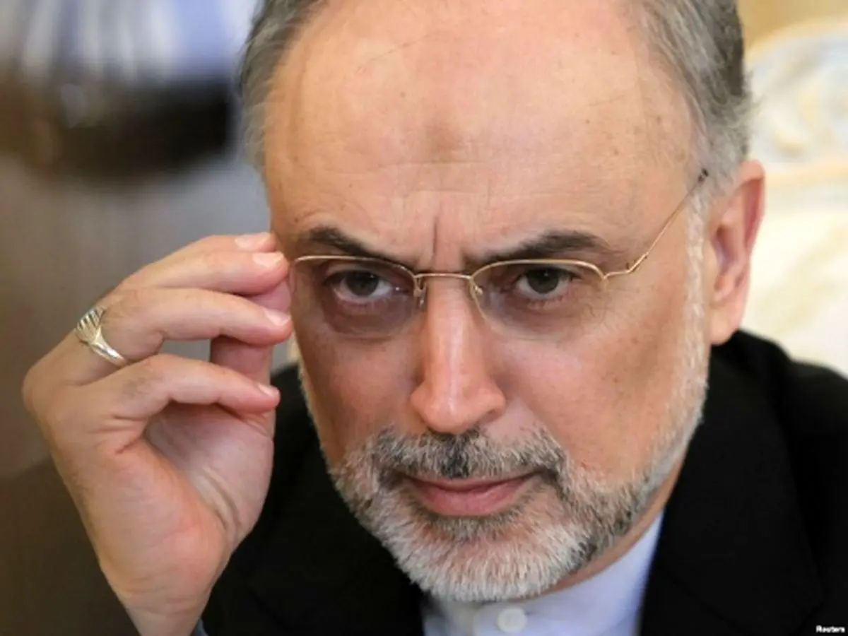 فیلم / نظر صالحی در مورد کاندیداتوری احمدی نژاد: باید از نظر آقا تبعیت کند