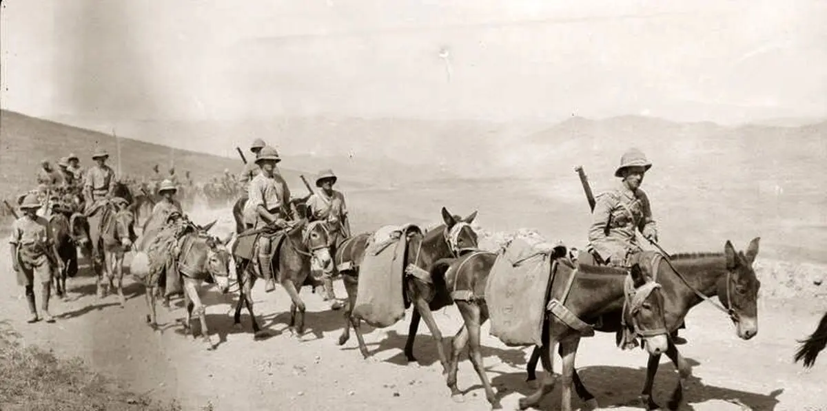 نطق احمدشاه در مجلس مشروطه درباره بی‌طرفی ایران در جنگ جهانی اول، ۱۰۵ سال پیش: «ممکن است این محاربه به حدود مملکت ما نزدیک شود»