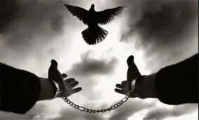 بخشش پسری که خواهرش را کشته بود