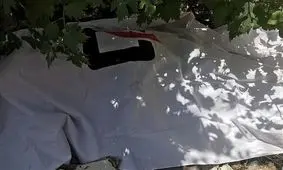 راز قتل در جنگل لویزان