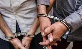 سرقت فلش مموری، باند سارقان را گرفتار کرد