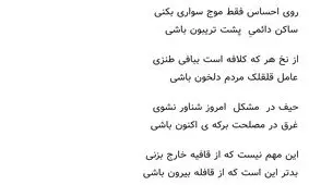 فرض کن شاعری و تابع قانون باشی!