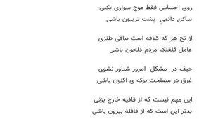 فرض کن شاعری و تابع قانون باشی!