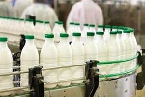 خرید شیرخام با نرخ ۳ هزار تومان از دامداران تکذیب شد