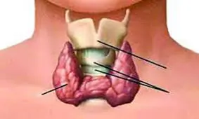 10 نشانه مخفی در بدن، خبر از ابتلا به بیماریهای تیروئید می‌دهند!