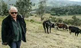 «کیارستمی و عصای گمشده»؛ تازه‌ترین روایت از کارگردان فقید سینما