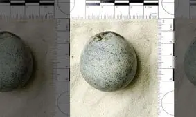 کشف تخم‌مرغهای ۱۷۰۰ ساله در انگلیس