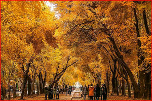 پاییز در چهارباغ اصفهان به روایت تصویر