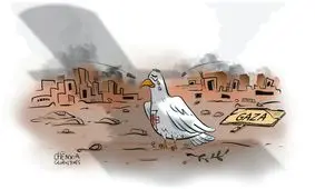 فقط یک آتش بس جامع می تواند از تبدیل کمک ها به «تله مرگ» در غزه جلوگیری کند