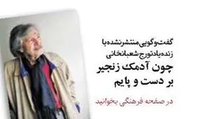 ناگفته‌های تورج شعبانخانی/ از نادانی شبکه‌های فارسی‌زبان تا همکاری با فریدون فروغی