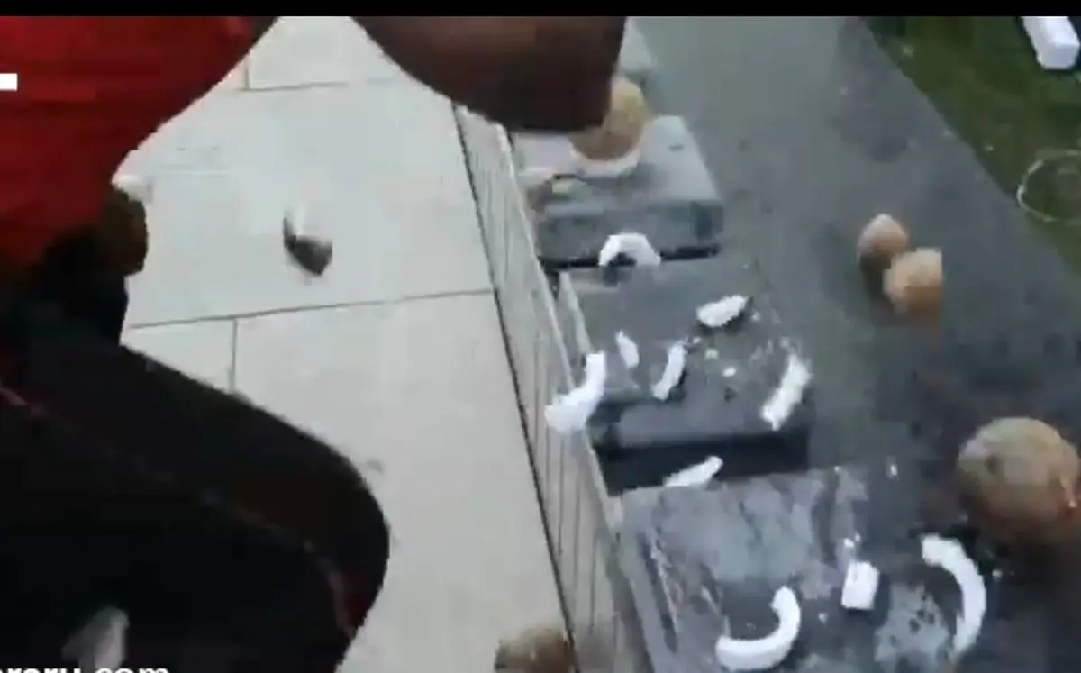 فیلم| شکستن ۱۲۲ نارگیل با دست در یک دقیقه برای ثبت رکورد گینس