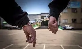 بازداشت مِی‌فروشان تقلبی در قشم / 10 نفر مسموم شدند