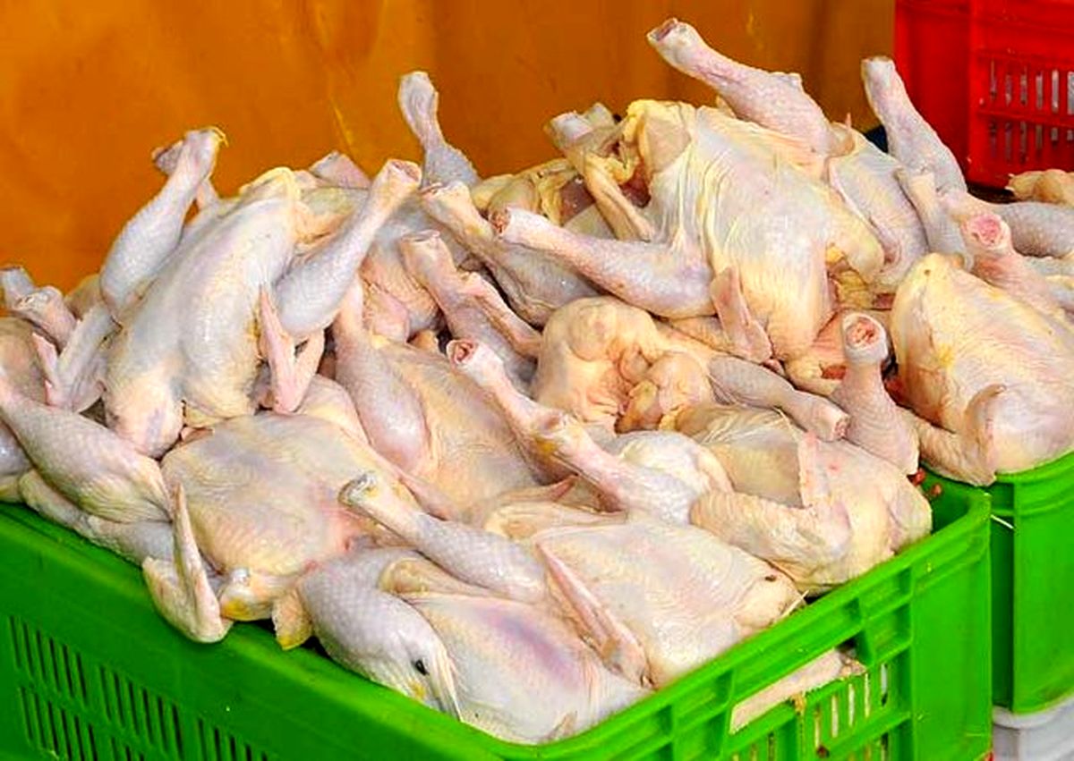 حداکثر قیمت مرغ ۷۵۰۰ تومان/ با گرانفروشان برخورد کنند