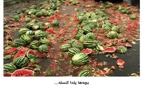 شوخی‌های جالب شبکه‌های اجتماعی؛ شب یلدا