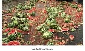 شوخی‌های جالب شبکه‌های اجتماعی؛ شب یلدا