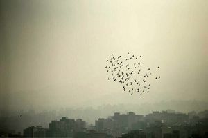 پیش‌بینی جوی پایدار برای اغلب مناطق کشور / افزایش آلاینده‌ها در هوای شهرهای صنعتی
