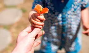 مواردی که از نظر علمی، بر جذابیت تان می افزاید