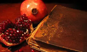 فیلم| تفاوت شب یلدا در بالاشهر و پایین‌شهر