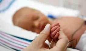 جمعیت استان بوشهر به یک‌میلیون و ۱۷۲ هزار نفر رسید/ کاهش تولدها