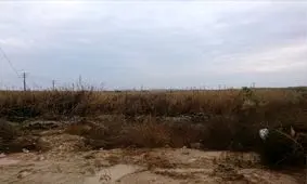 روایت‌های محتاطانه چند شاهد درباره حادثه ماهشهر