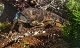 کشف فسیل بچه دایناسور برای اولین بار در استرالیا