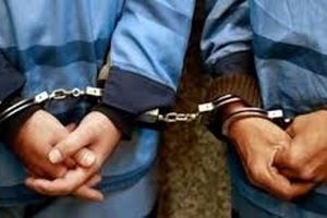 دستگیری دو سارق حرفه ای زنجان