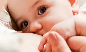 اینفوگرافیک| تمام آمار و ارقام ثبت احوال در سال ۹۸