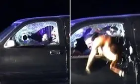 واکنش حیرت‌انگیز سگ پلیس برای دستگیری راننده مظنون + فیلم