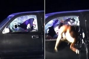 واکنش حیرت‌انگیز سگ پلیس برای دستگیری راننده مظنون + فیلم