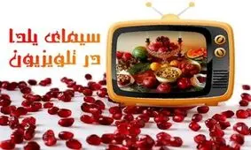 چقدر بدهیم تا تلویزیون دیگر برنامه مناسبتی نسازد؟