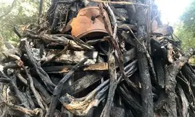 عجیب‌ترین درخت کریسمس در استرالیا