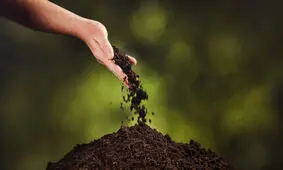 تبدیل سریع جنازه به خاک