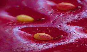 حقایقی که دانسته‌هایمان را زیر سؤال می‌برند