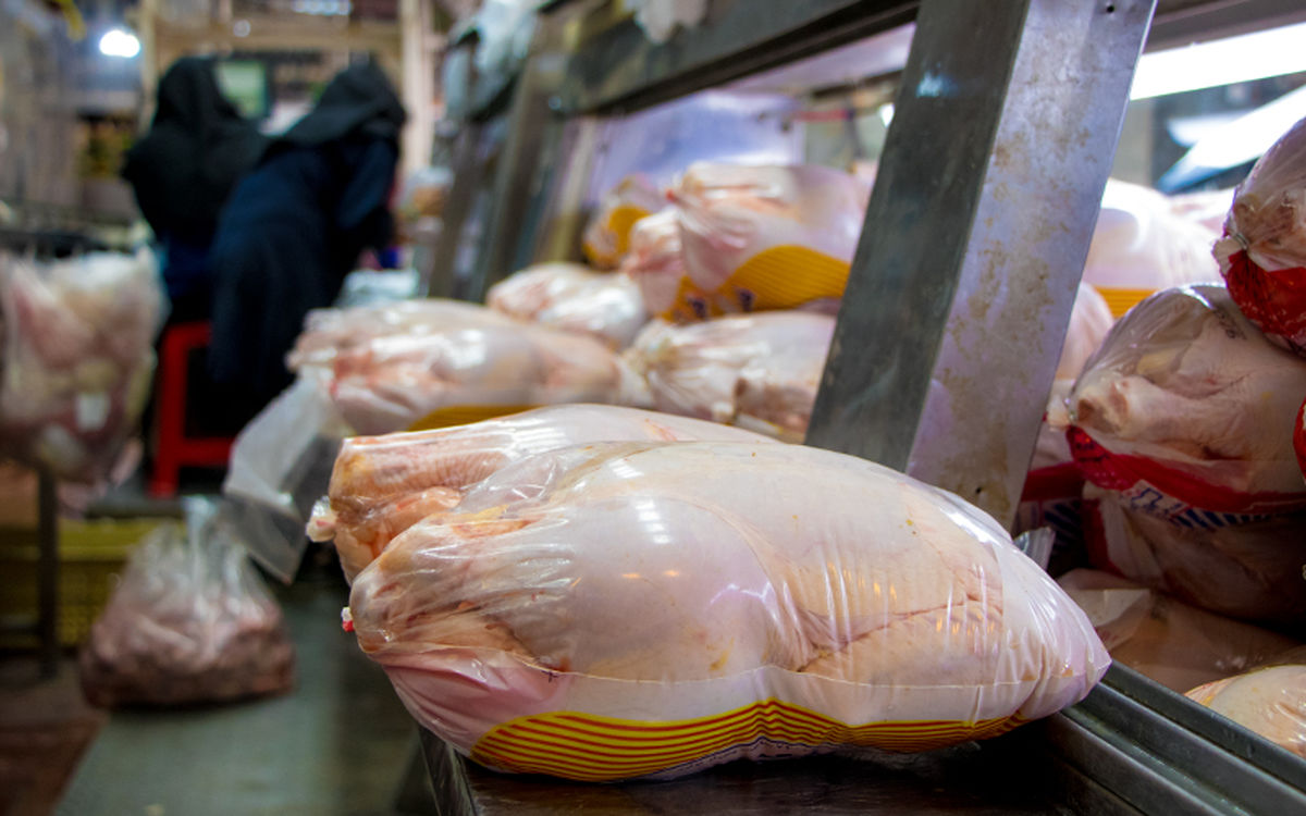 امکان افزایش ۳ درصدی قیمت مرغ در آینده/قیمت هر کیلو مرغ ۱۲ هزار و ۸۰۰ تومان