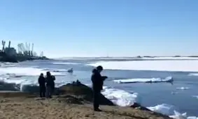 فیلم| پدیده‌ای نادر از حركت يخچال قطبي و برخورد آن با خشكی