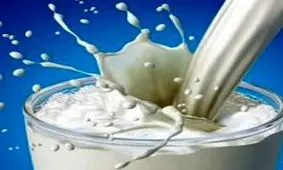 لبنیات کم چرب بخورید تا کمتر دچار افسردگی شوید