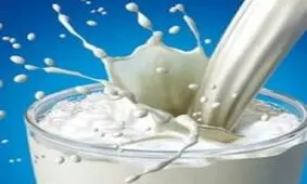 لبنیات کم چرب بخورید تا کمتر دچار افسردگی شوید