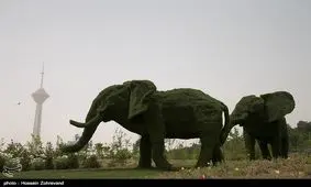 کیفیت هوای تهران همچنان ناسالم است/ منطقه ۱۷ آلوده‌ترین و نارمک سالم‌ترین مناطق پایتخت