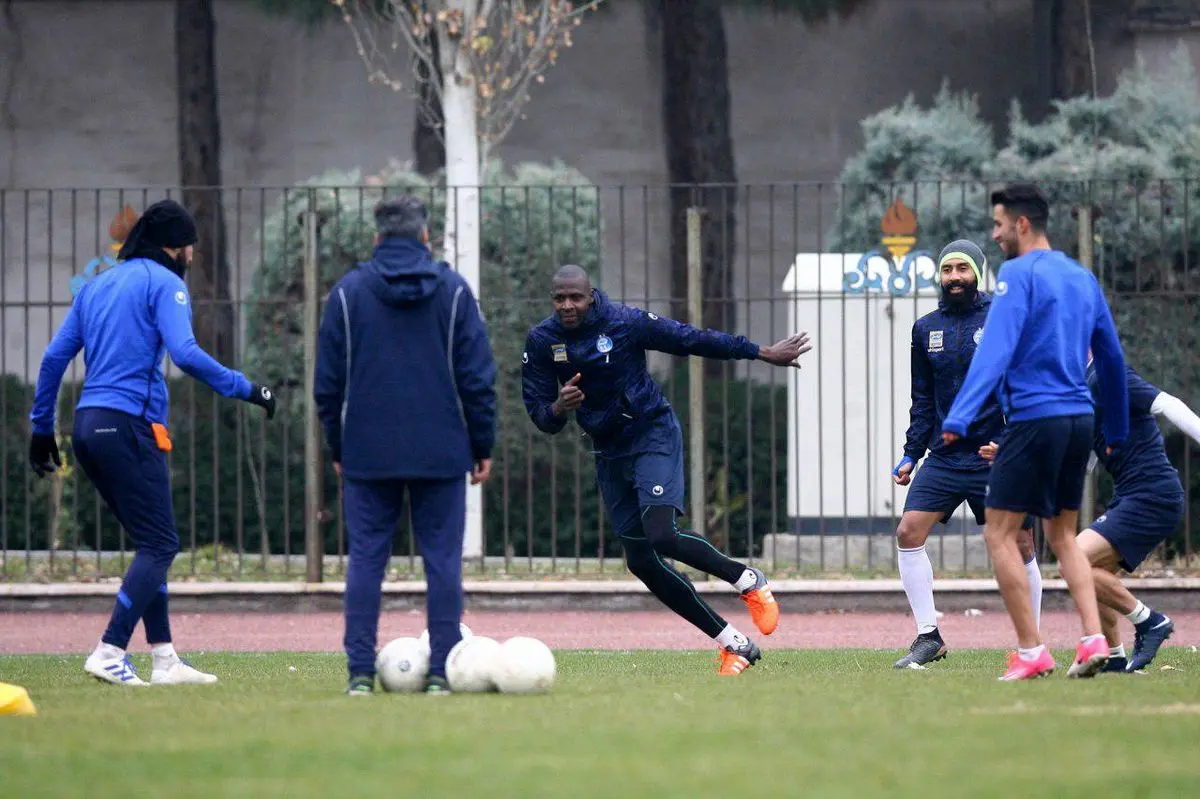 دیاباته آماده شکار شاهین در آزادی