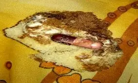 ۱۸ دانش‌آموز ارومیه بر اثر کیک‌های آلوده مسموم شدند