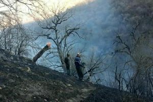 مهار آتش‌سوزی در پارک ملی گلستان