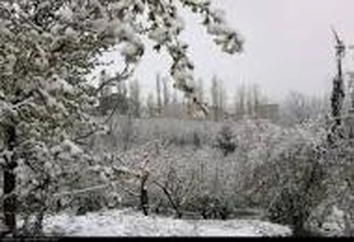 پیش‌بینی بارش برف و باران در البرز